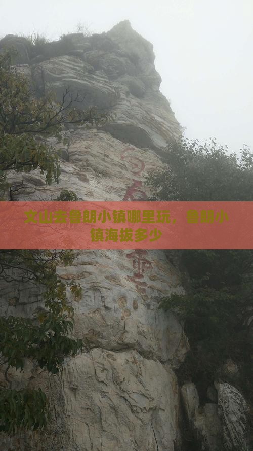 文山去西藏鲁朗小镇哪里玩