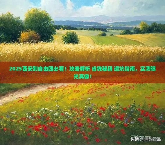 西安到西藏自由团