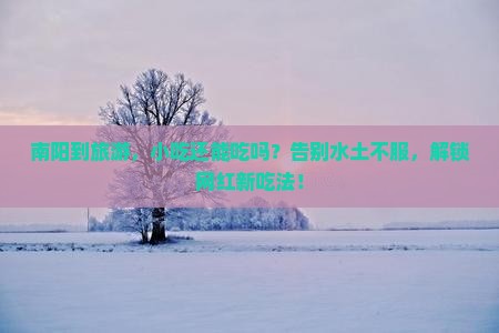 南阳到西藏旅游小吃