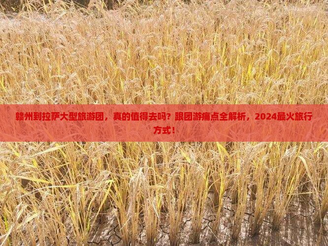 赣州到西藏拉萨大型旅游团