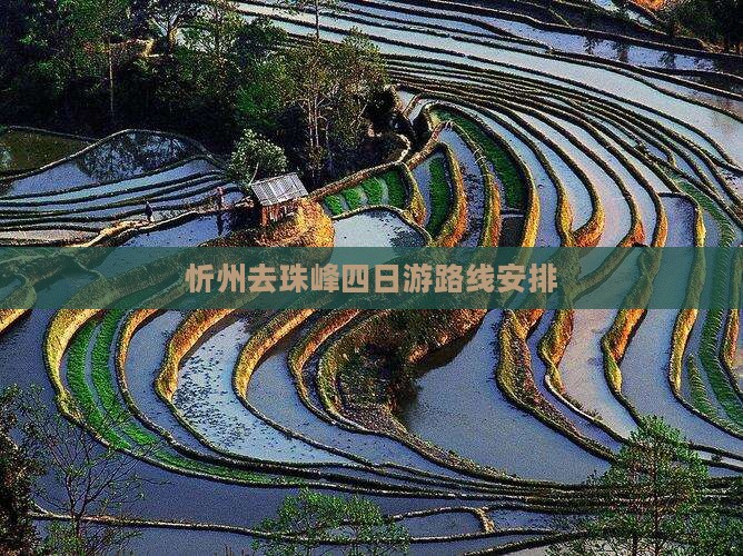 忻州去西藏珠峰大本营四日游