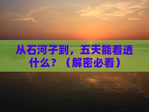 石河子到西藏五日游
