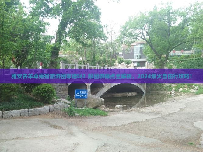 雅安去西藏羊卓雍措大型旅游团