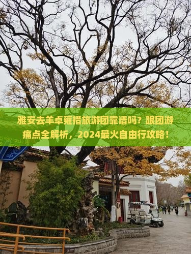 雅安去西藏羊卓雍措大型旅游团