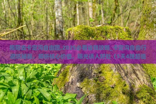 揭阳去西藏卡定沟自由团