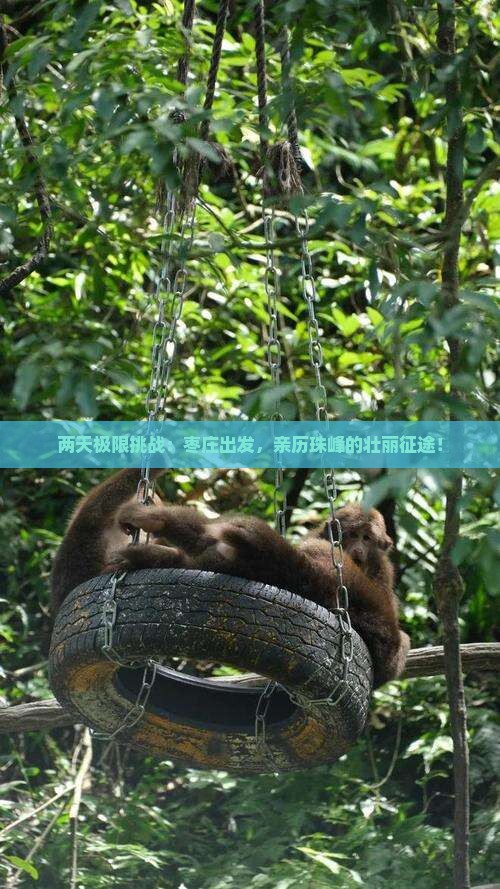 两天极限挑战：枣庄出发，亲历珠峰的壮丽征途！
