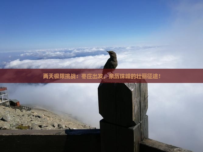 两天极限挑战：枣庄出发，亲历珠峰的壮丽征途！