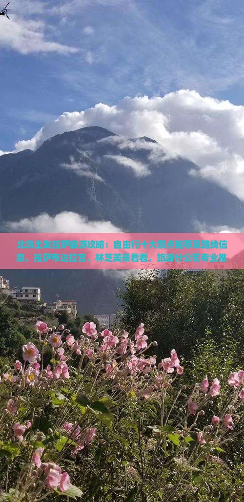 北京出发拉萨旅游攻略：自由行十大景点推荐及路线信息，拉萨布达拉宫、林芝美景看看，旅游分公司专业推荐