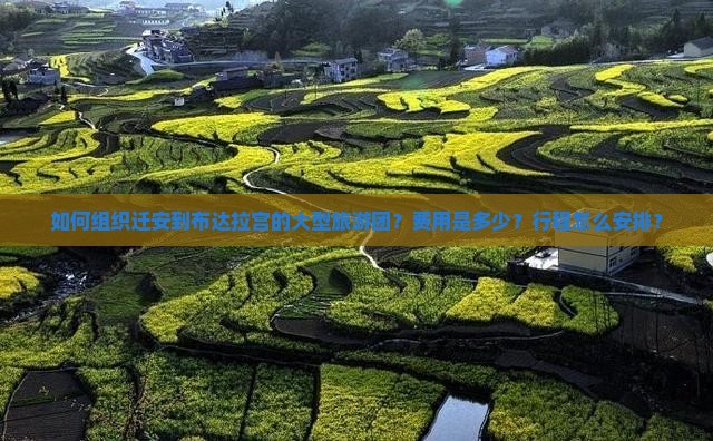 如何组织迁安到布达拉宫的大型旅游团？费用是多少？行程怎么安排？