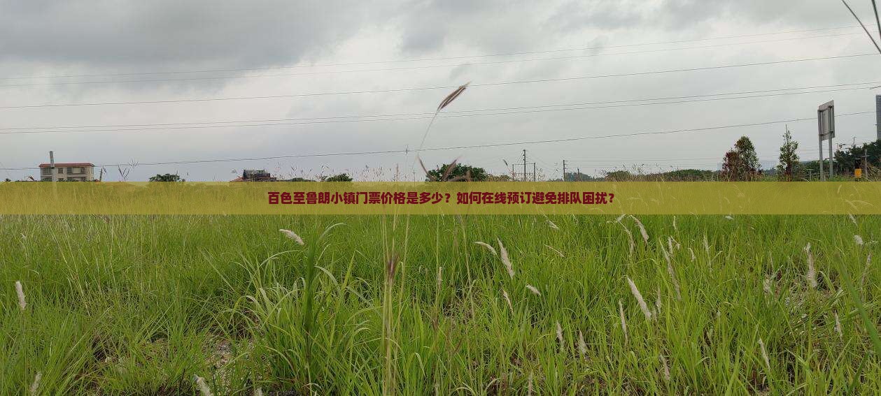 百色至鲁朗小镇门票价格是多少？如何在线预订避免排队困扰？