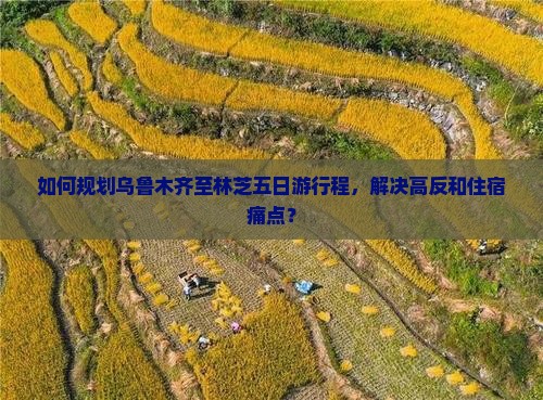 如何规划乌鲁木齐至林芝五日游行程，解决高反和住宿痛点？