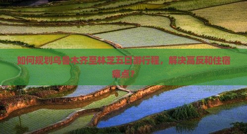如何规划乌鲁木齐至林芝五日游行程，解决高反和住宿痛点？