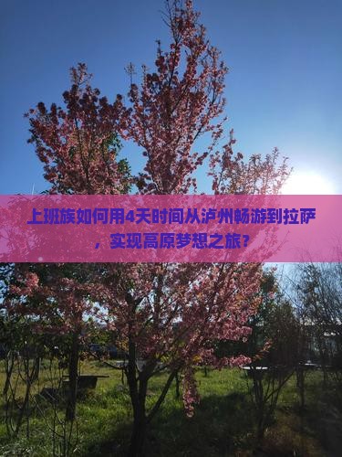 上班族如何用4天时间从泸州畅游到拉萨,实现高原梦想之旅? 上班族如何用4天时间从泸州畅游到拉萨,实现高原梦想之旅?