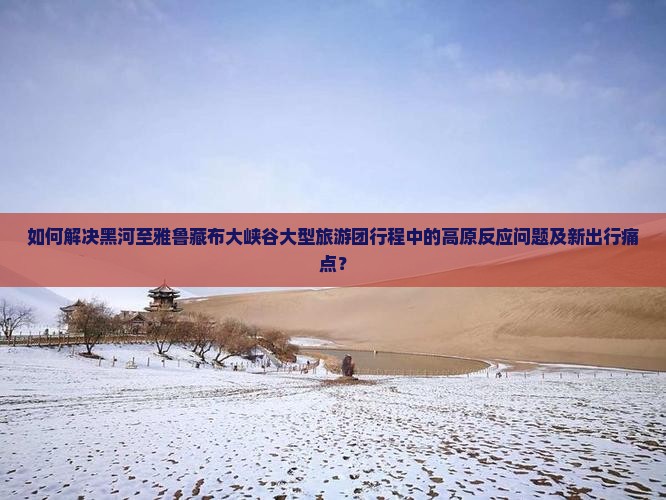 如何解决黑河至雅鲁藏布大峡谷大型旅游团行程中的高原反应问题及新出行痛点？