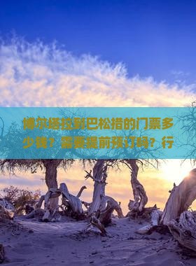 博尔塔拉到巴松措的门票多少钱？需要提前预订吗？行程怎么安排？