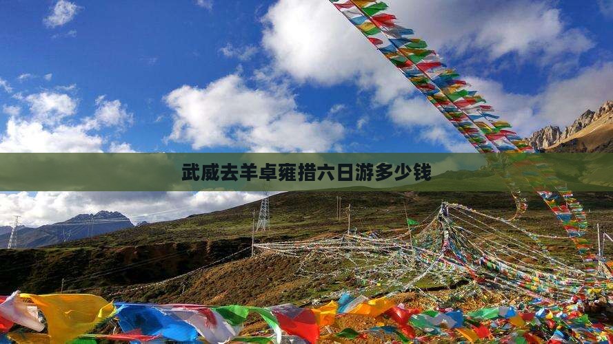武威去羊卓雍措六日游多少钱