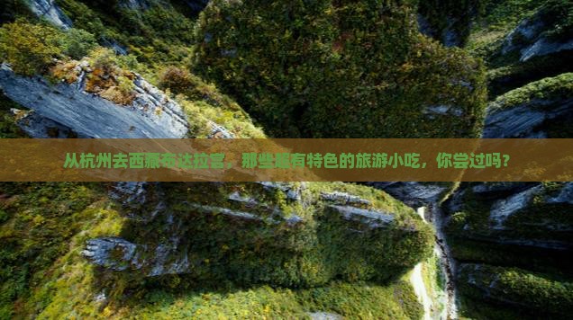 杭州到西藏布达拉宫旅游小吃