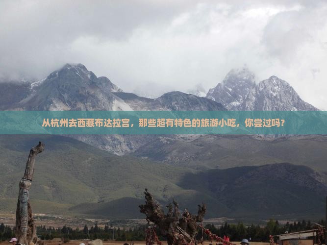 杭州到西藏布达拉宫旅游小吃
