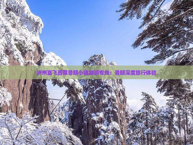 泸州到西藏鲁朗小镇旅行社