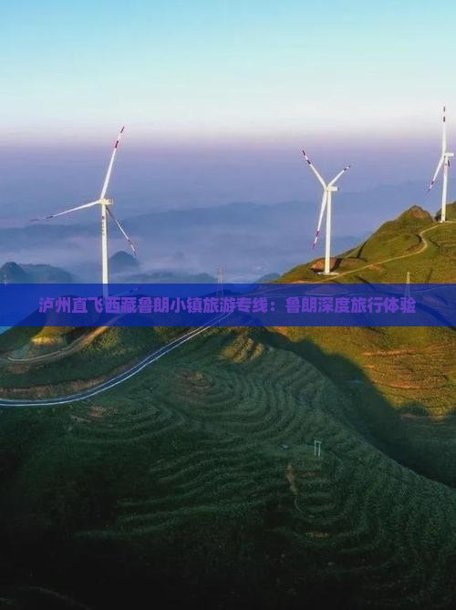 泸州到西藏鲁朗小镇旅行社