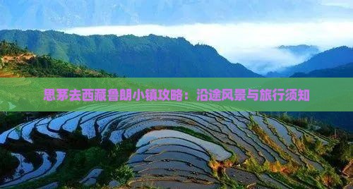 思茅去西藏鲁朗小镇攻略