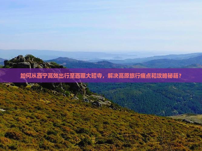 西宁去西藏大昭寺景点