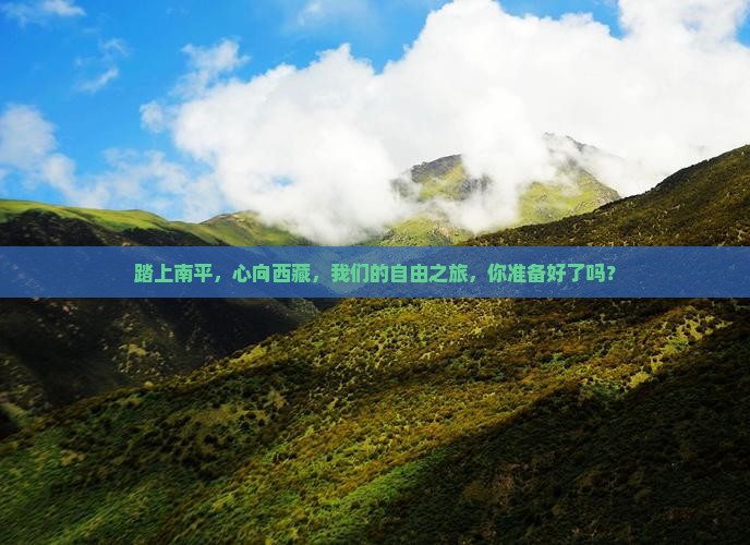 南平到西藏自由团