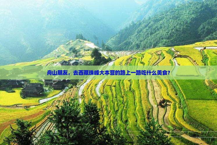 舟山去西藏珠峰大本营旅游小吃
