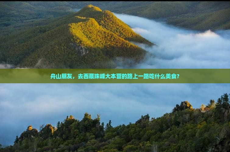 舟山去西藏珠峰大本营旅游小吃