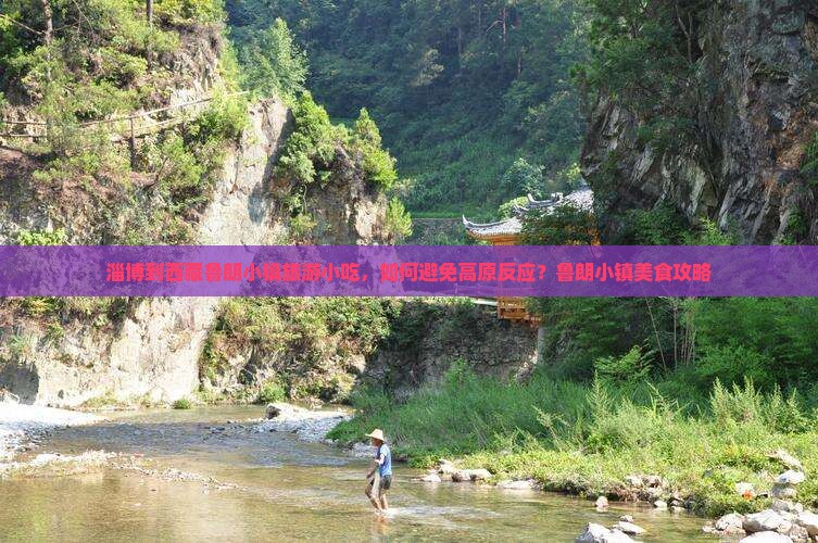 淄博去西藏鲁朗小镇旅游小吃
