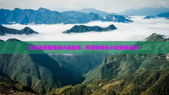 三明去西藏鲁朗小镇旅游小吃