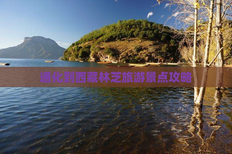 通化到西藏林芝必去地