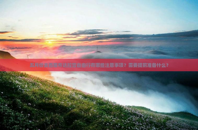 五月到西藏布达拉宫自由团