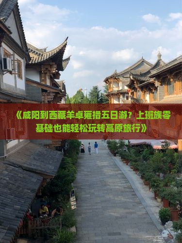 咸阳到西藏羊卓雍措五日游
