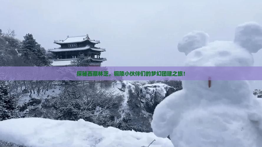 铜陵到西藏林芝团体旅游