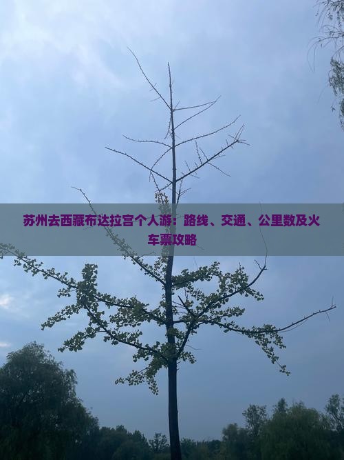 苏州去西藏布达拉宫个人游