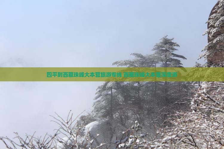 四平到西藏珠峰大本营旅行社