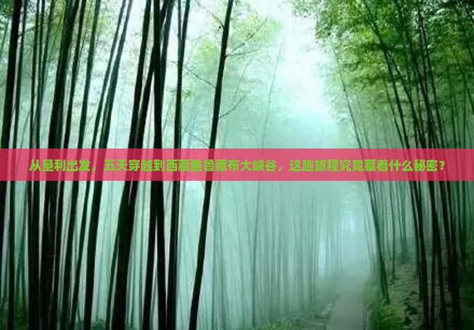 垦利到西藏雅鲁藏布大峡谷五日游