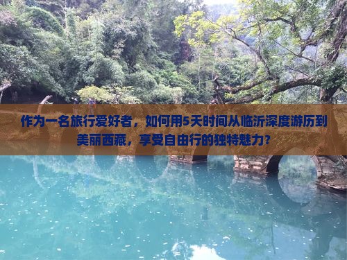临沂到西藏自由团
