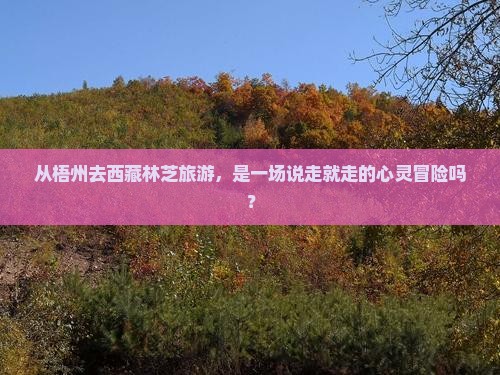 梧州到西藏林芝旅游