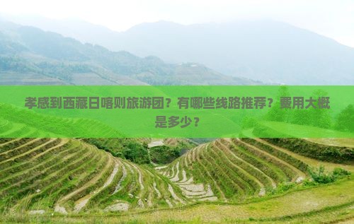 孝感到西藏日喀则大型旅游团