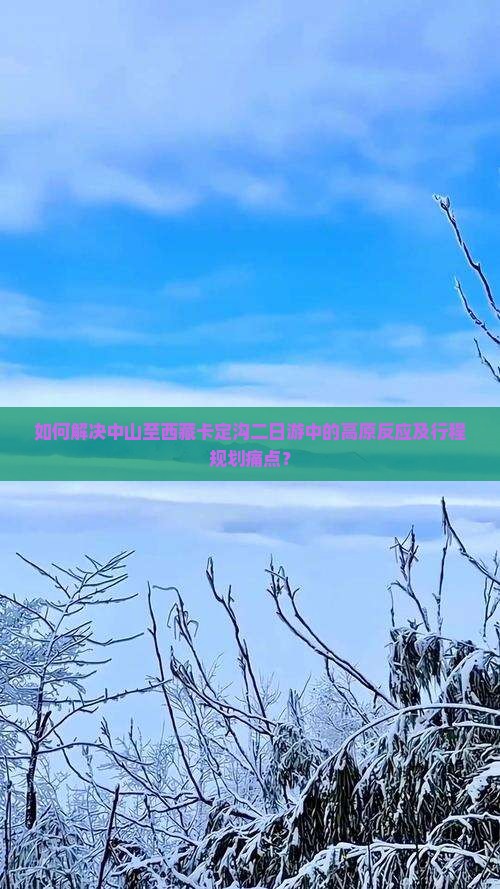中山去西藏卡定沟二日游