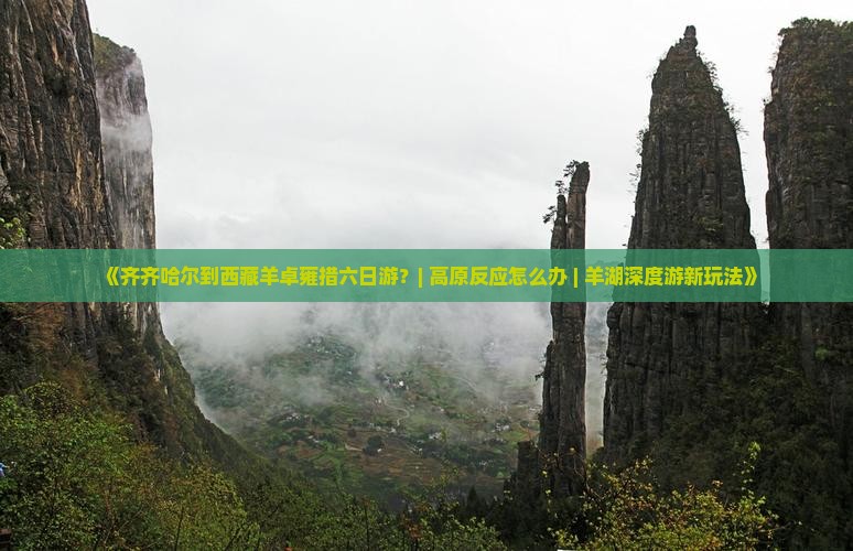 齐齐哈尔去西藏羊卓雍措六日游