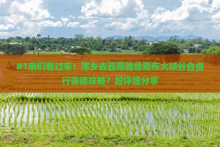 萍乡到西藏雅鲁藏布大峡谷攻略