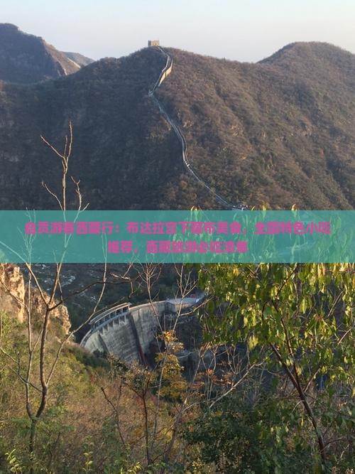 自贡去西藏布达拉宫旅游小吃