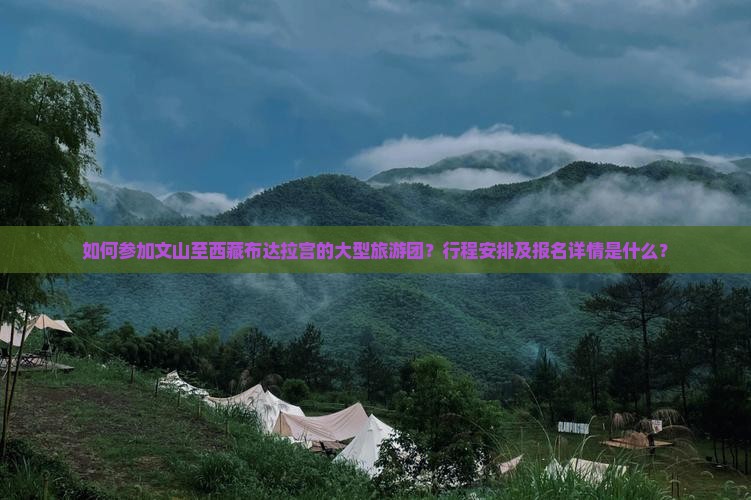 文山去西藏布达拉宫大型旅游团