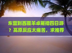 东营到西藏羊卓雍措四日游