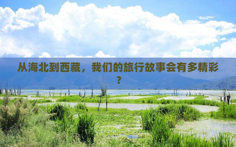 海北去西藏团体旅游