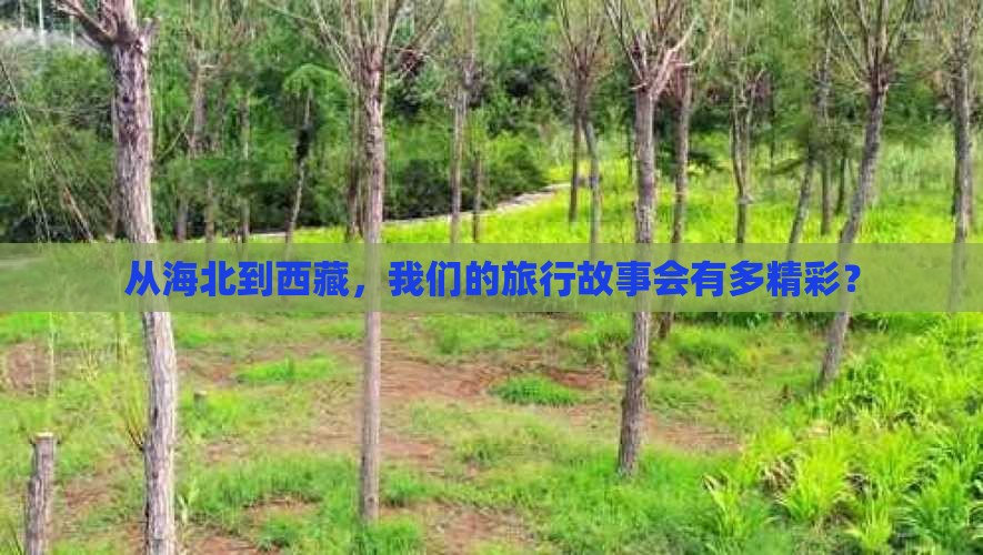 海北去西藏团体旅游