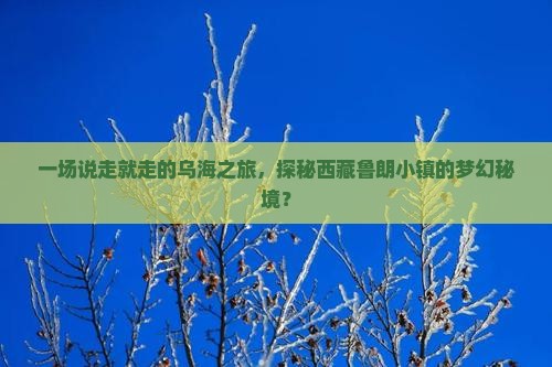 乌海市到西藏鲁朗小镇个人游